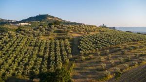Alma Agriturismo