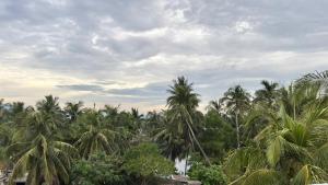 Homestay Hùng