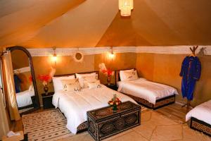 Young luxury camp