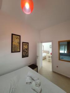 Olive apartment