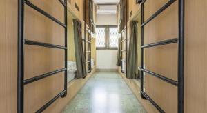 Sloth Hostel