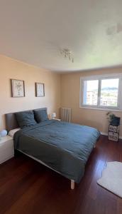 Appartement Cannes Entier beau T2