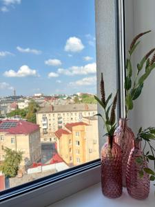 Центр Площа Доли