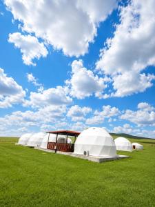 A DOME YURT NEAR CHINGGIS KHAAN INTL airport
