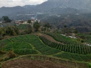 Gaon Homestay -simple room 5-minutes walk from road