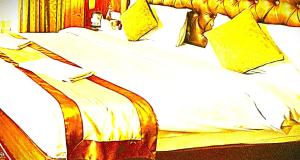 The Krishna Regency Hotel