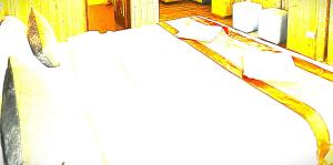 The Krishna Regency Hotel