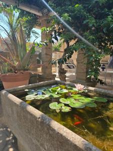 LA PIGNA BLU CasaVacanza con Piscina