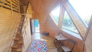 A secluded cabin surrounded by nature