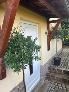 Ferienwohnung Mühlberg