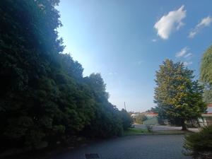 Green Hotel