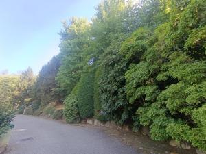 Green Hotel