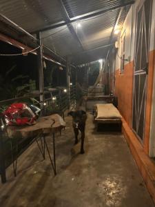Paradise home