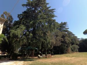 Villa Luzi, Casa del Fattore, Piscina, Parcheggio e Giardino