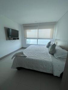 apartamentos frente al mar palmettos beach eliptic uno