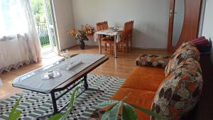 Zielony Azyl large 2 bedroom apartment with balcony and free parking