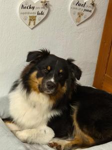 Chalupa u Marušky
