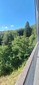 Apartments near Ljubljana, Sleeps 10, Free Parking
