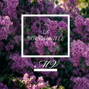 La Bouganville MV