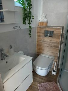 Studio jednopokojowe Perełka