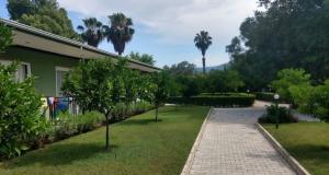 Arbor Vitae Hotel