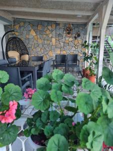 Lake&Garden apartments Radozda