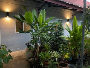 Hidden courtyard