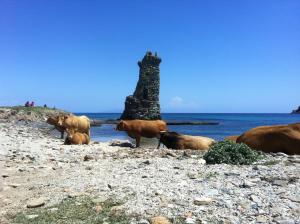 Casale Lucrezia photo 18