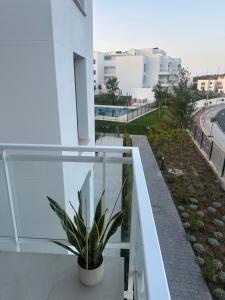 Luxury La Cala de Mijas Sunset