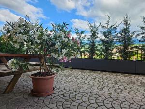 Belsogno B&B