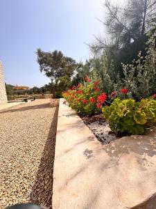 Chambres dhôtes Beldi et ou Océane dans Villa-Essaouira
