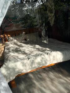 Đồi Hoa Đào cafe & homestay