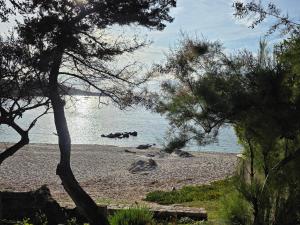 Studio cosy 300m de la plage