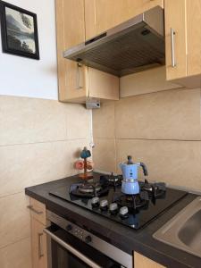 A bright, cozy studio apartment in leafy Żoliborz
