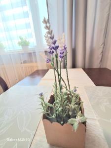 Arts home one ,Zapraszam ,możliwość bezpłatnego parkowania