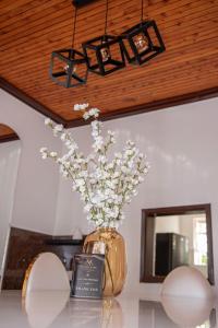 Maison Ivory Suites-Elgon view