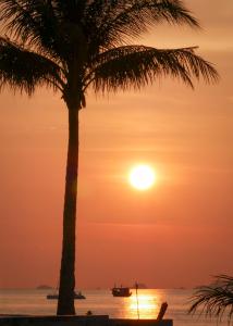 The Hostel by Sunflower Guesthouse and Animal Rescue - Koh Lipe