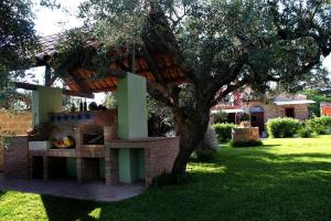 Il giardino degli ulivi