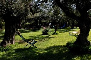Il giardino degli ulivi