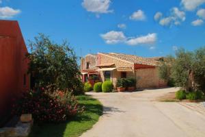 Il giardino degli ulivi