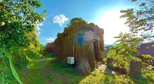 Mon Mart&May Resort