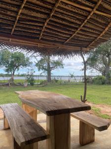 Foresta yala