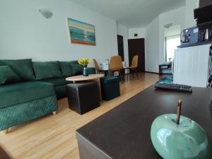 Sunny apartment Sarafovo