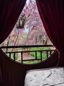 Đồi Hoa Đào cafe & homestay