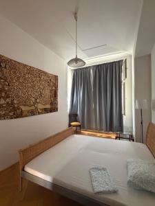A room in an apartment in the heart of Prague and a Cat