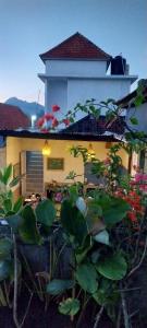 DLA Coco villa kintamani