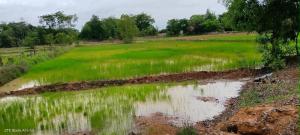 Arawan