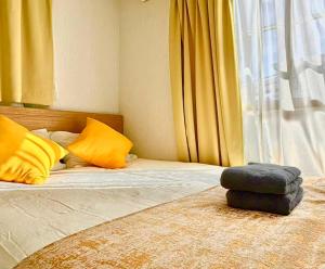 sunflower house-Direct train service to Ueno and Nippori -KS0593
