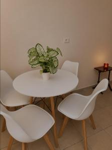 Olive Nest Tirana