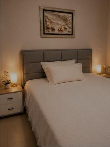 Olive Nest Tirana